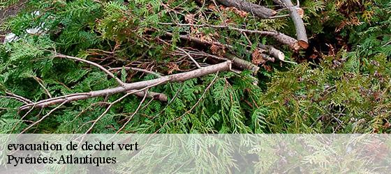 evacuation de dechet vert  64 Pyrénées-Atlantiques  Bryton Debarras-5