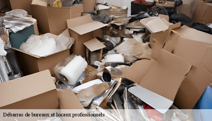 Débarras de bureaux et locaux professionnels   dognen-64190 Bryton Debarras-6