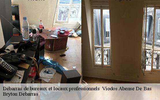 Débarras de bureaux et locaux professionnels   viodos-abense-de-bas-64130 Bryton Debarras-1