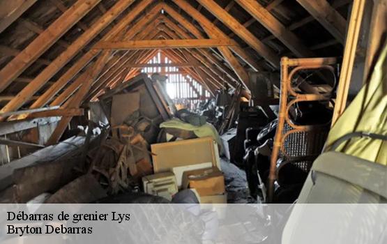 Débarras de grenier  lys-64260 Bryton Debarras-1