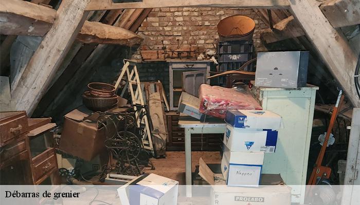 Débarras de grenier  sauguis-saint-etienne-64470 Bryton Debarras-6