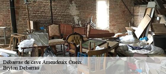 Débarras de cave  amendeuix-oneix-64120 Bryton Debarras-4