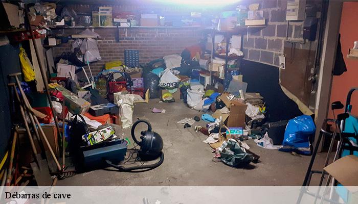Débarras de cave  autevielle-saint-martin-bide-64390 Bryton Debarras-6
