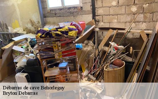Débarras de cave  behorleguy-64220 Bryton Debarras-1
