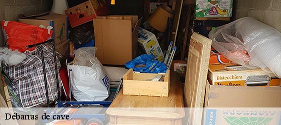 Débarras de cave  hasparren-64240 Bryton Debarras-3