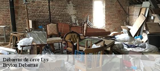 Débarras de cave  lys-64260 Bryton Debarras-4