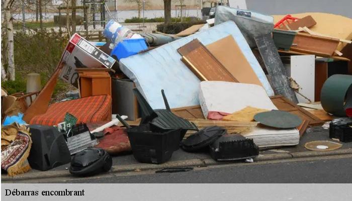 Débarras encombrant  anglet-64600 Bryton Debarras-6