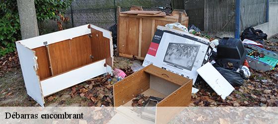 Débarras encombrant  saint-armou-64160 Bryton Debarras-3