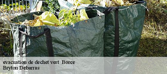 evacuation de dechet vert   borce-64490 Bryton Debarras-4