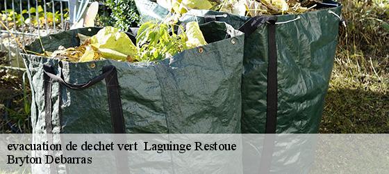 evacuation de dechet vert   laguinge-restoue-64470 Bryton Debarras-4