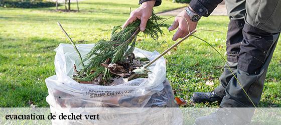 evacuation de dechet vert   lannecaube-64350 Bryton Debarras-3