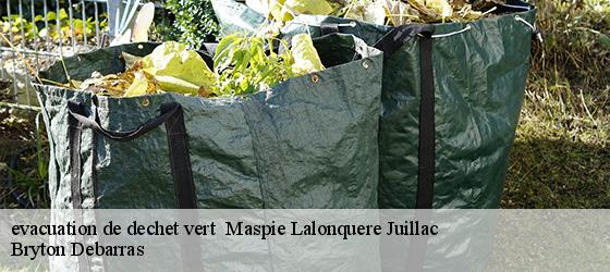 evacuation de dechet vert   maspie-lalonquere-juillac-64350 Bryton Debarras-4