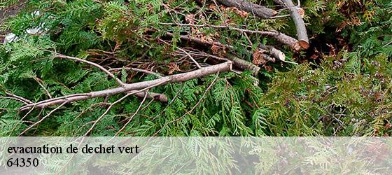 evacuation de dechet vert   moncaup-64350 Bryton Debarras-5