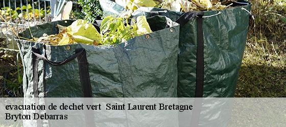 evacuation de dechet vert   saint-laurent-bretagne-64160 Bryton Debarras-4
