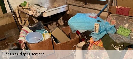 Débarras d'appartement  sauguis-saint-etienne-64470 Bryton Debarras-3