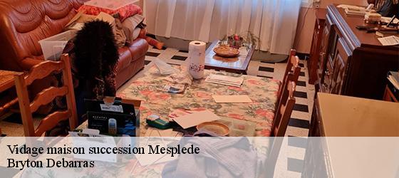 Vidage maison succession  mesplede-64370 Bryton Debarras-4
