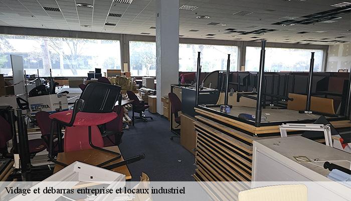 Vidage et débarras entreprise et locaux industriel  ahaxe-alciette-bascassan-64220 Bryton Debarras-6