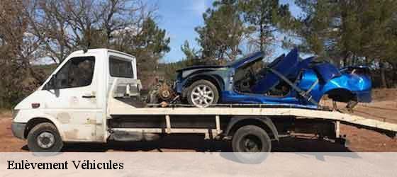 Enlèvement Véhicules  larribar-sorhapuru-64120 Bryton Debarras-3